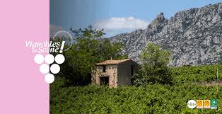 Vignobles en scène 2025